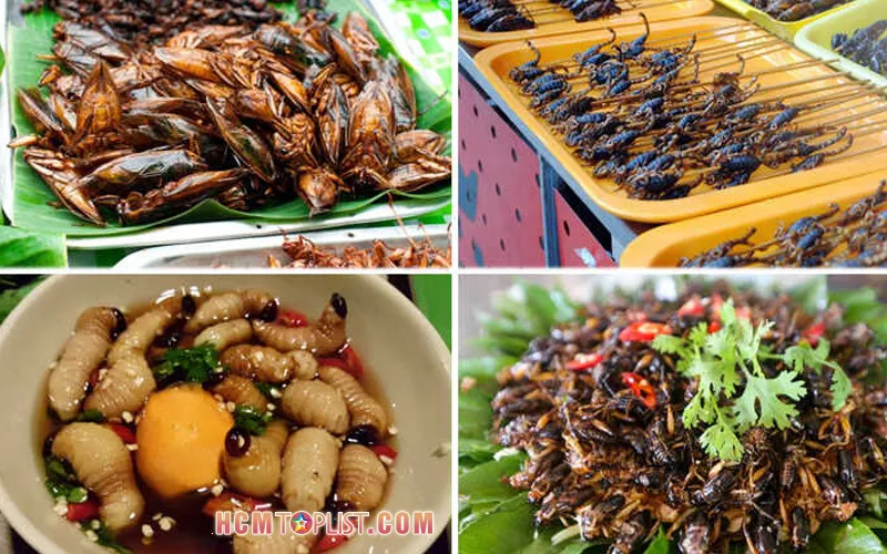 Bật mí top 5+ quán ăn côn trùng ở Sài Gòn vô cùng độc lạ