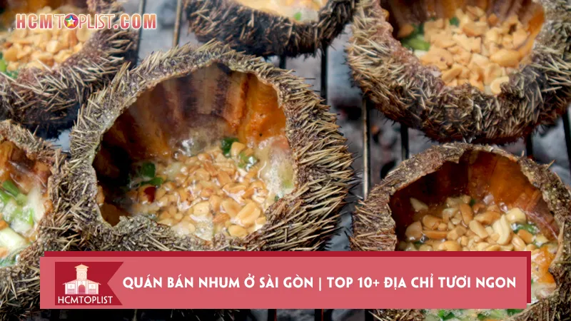 Quán bán nhum ở Sài Gòn | Top 10+ địa chỉ tươi ngon
