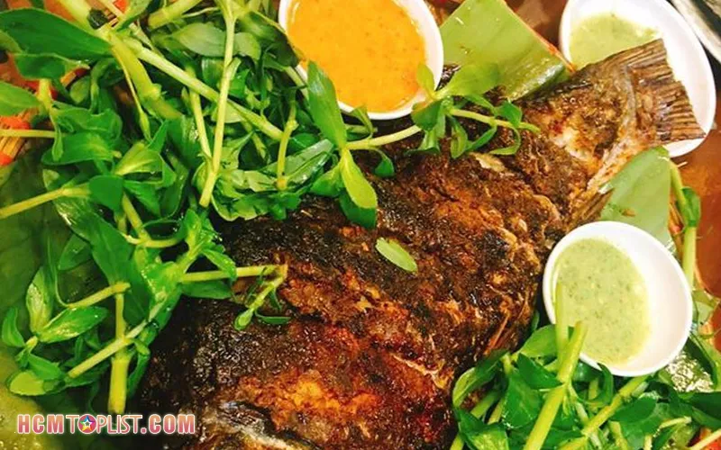 Top 10+ quán cá nướng ngon ở Sài Gòn nên ghé thử