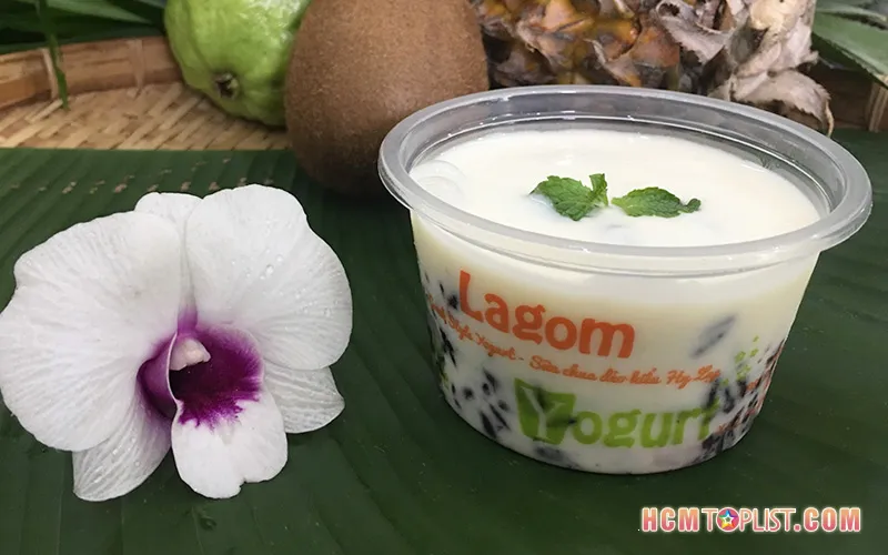 Top 10+ quán yogurt ngon ở Sài Gòn thanh mát, hấp dẫn